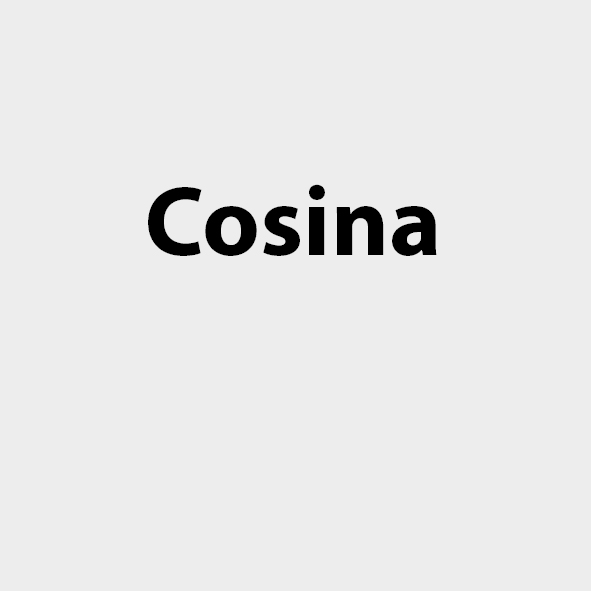 Cosina Logo