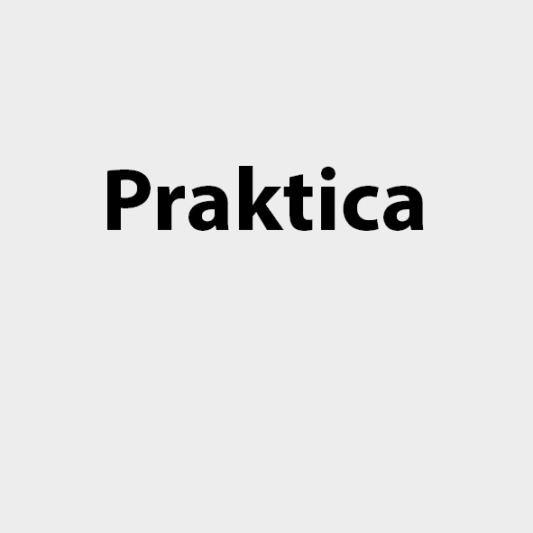 Praktica Logo