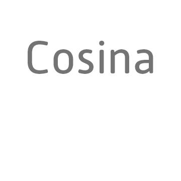 Cosina Logo